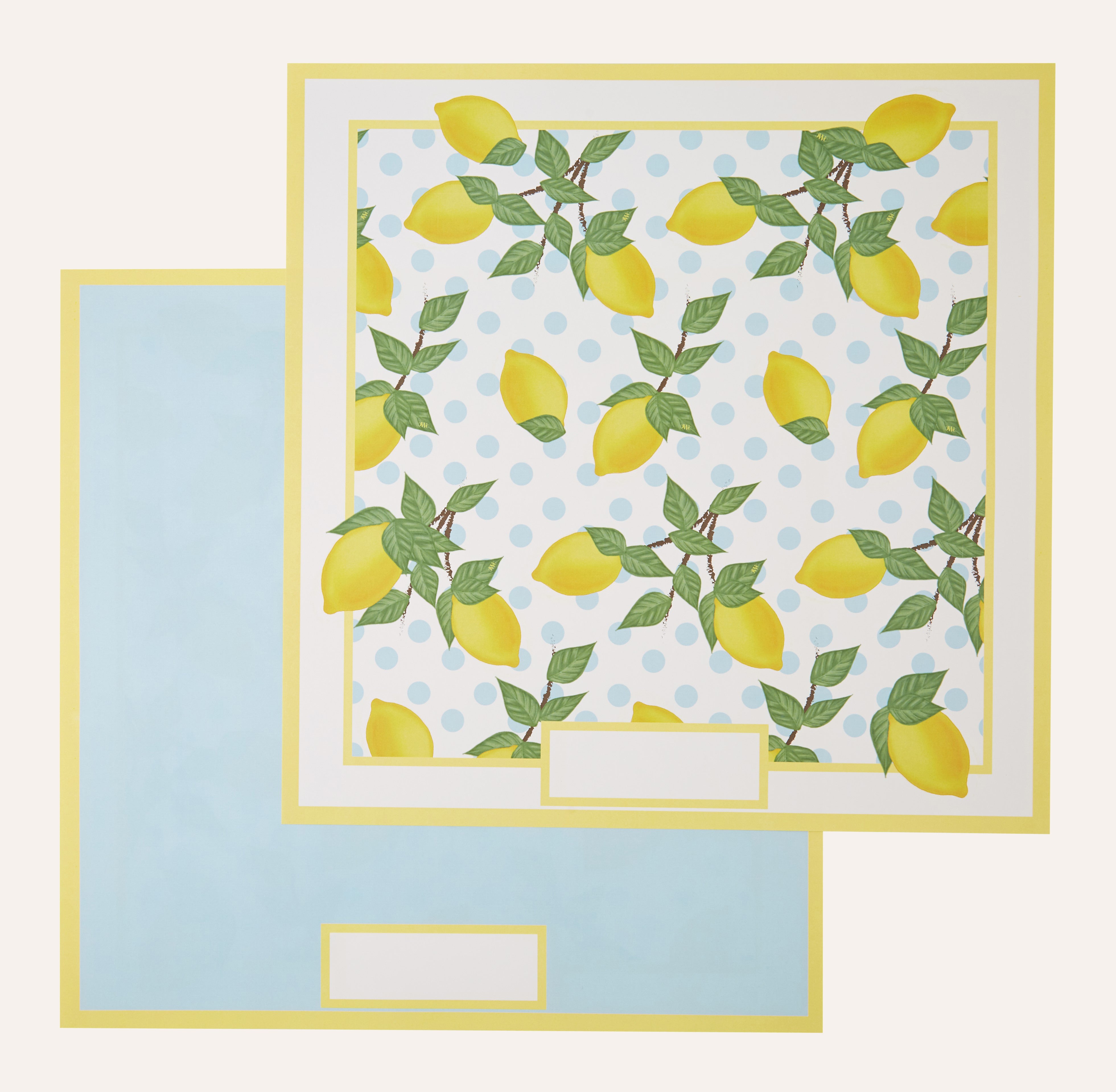 Victoire Positano Reversible Placemats, Set of 12