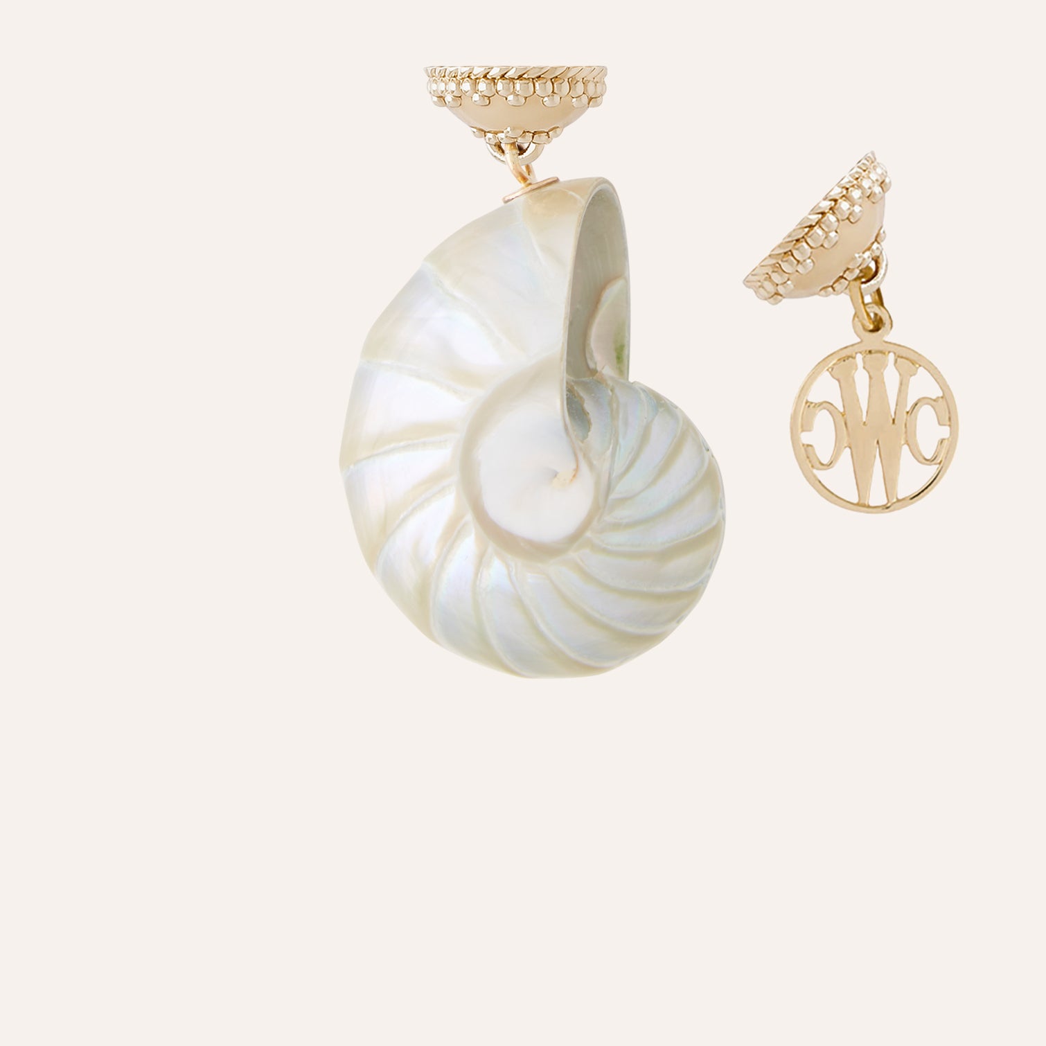 White and Gray Spiral Shell Tag