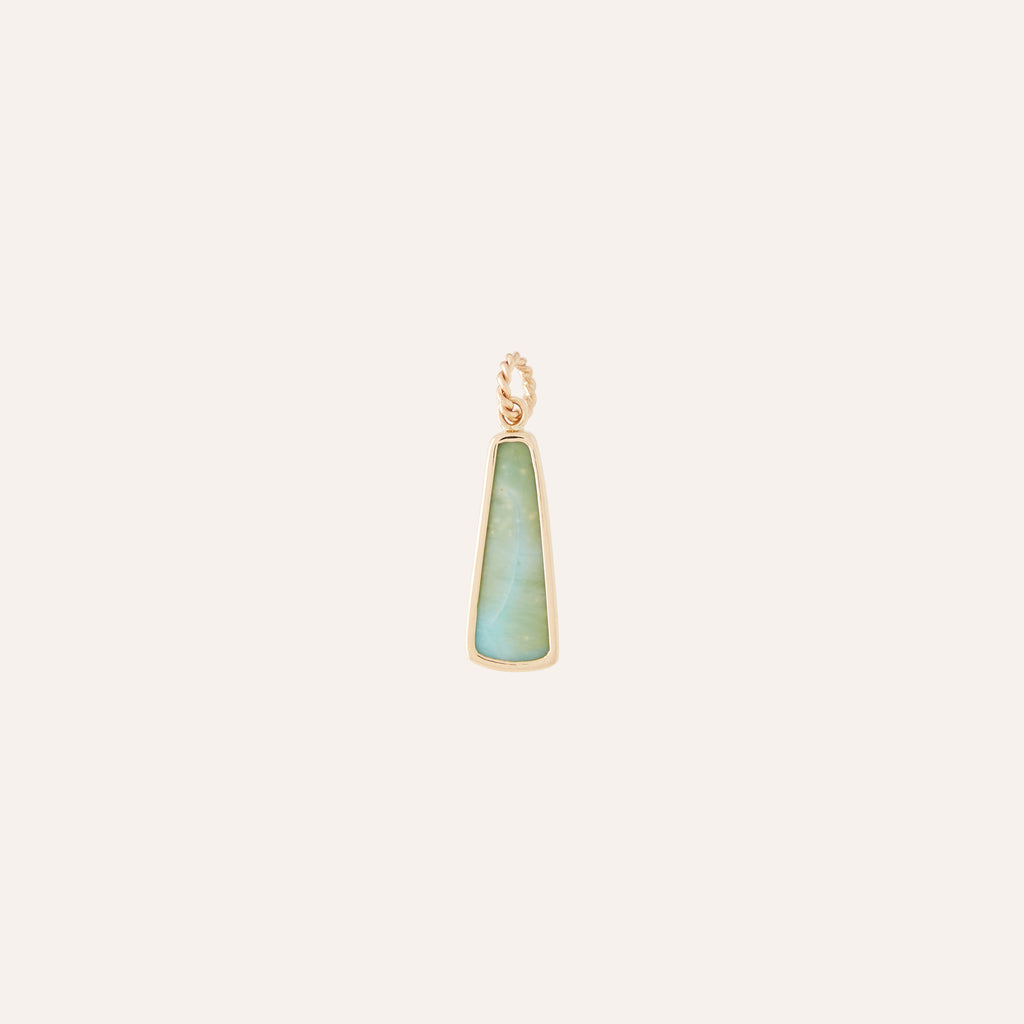 14K Opalized Petrified Wood Charm