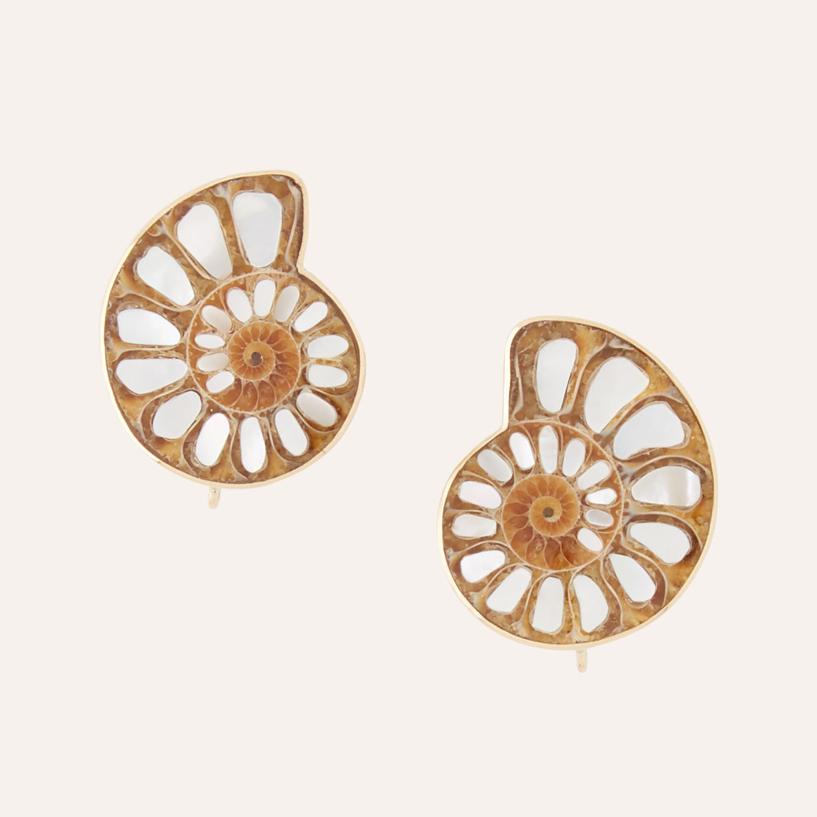 Ammonite and Mother Of Pearl Earrings