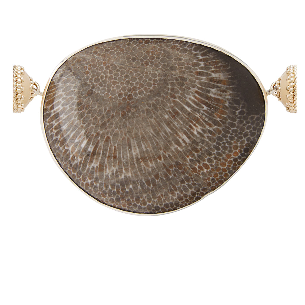 Extra Large Bryozoan Coral Oval Centerpiece